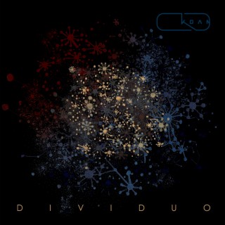 Dividuo