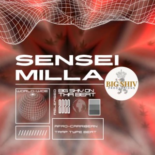 Senseimilla (Instrumental)