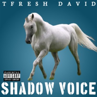 SHADOW VOICE DELUXE EDITION