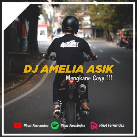 DJ AMELIA ASIK | Boomplay Music