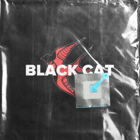 BLACK CAT | Boomplay Music