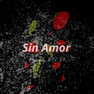 Sin Amor