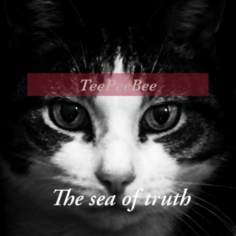 The sea of truth | Boomplay Music