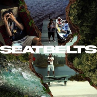 Seatbelts