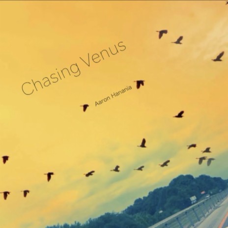 Chasing Venus | Boomplay Music
