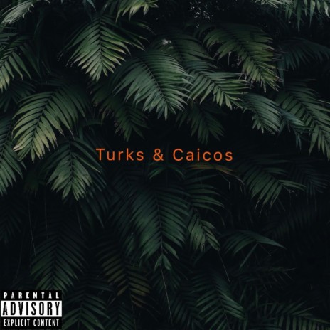 Turks & Caicos (Vibemix)