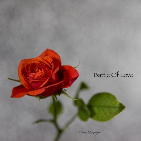 Battle Of Love | Boomplay Music