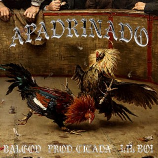 APADRINADO ft. lil boi lyrics | Boomplay Music