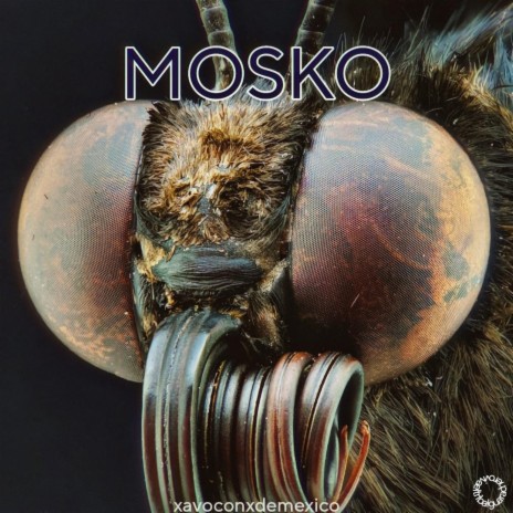 MOSKO (Tribal Guarachero) XAVO | Boomplay Music