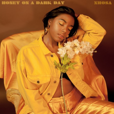 Honey on a Dark Day | Boomplay Music