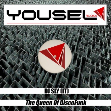 The Queen Of DiscoFunk (Original Mix)