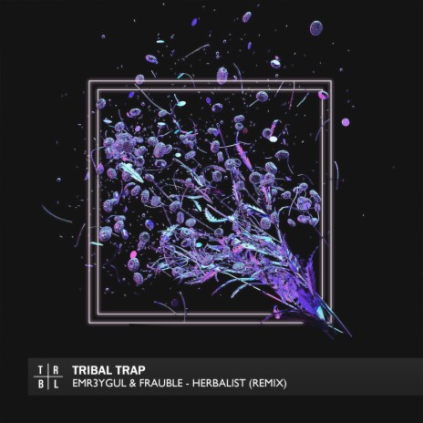 Herbalist (Remix) ft. Frauble