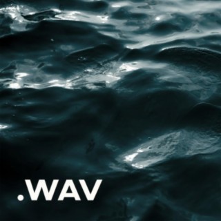 .WAV