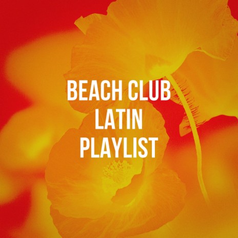 Latin Reverie | Boomplay Music