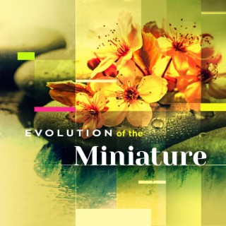 Evolution of the Miniature