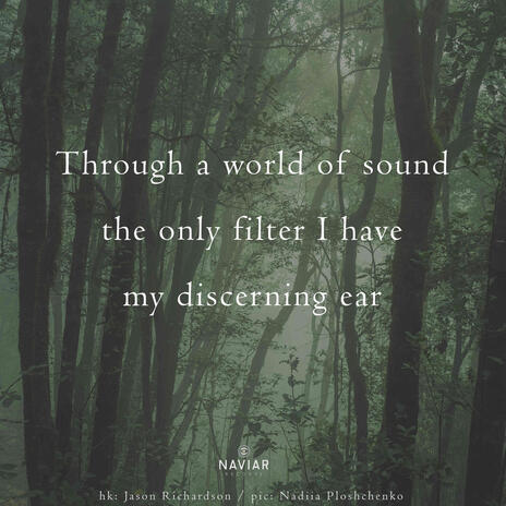 my discerning ear (Naviarhaiku562) (Alternate Version) | Boomplay Music