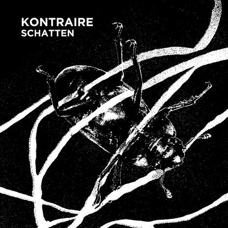 Schatten | Boomplay Music