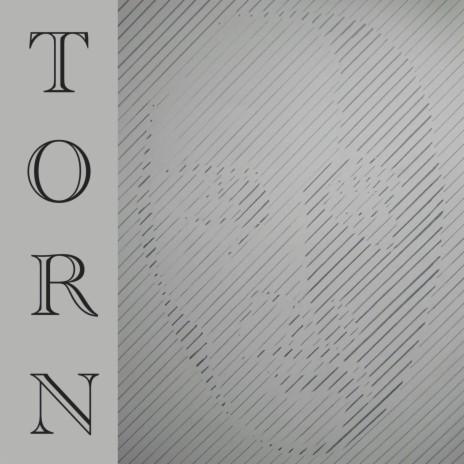 Torn (feat. Jamie Lee Sanchez) | Boomplay Music