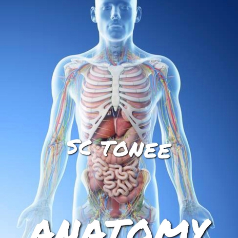 Anatomy (Policy)