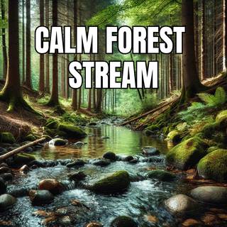 Calm Forest Stream