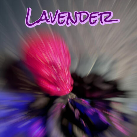 Lavender | Boomplay Music