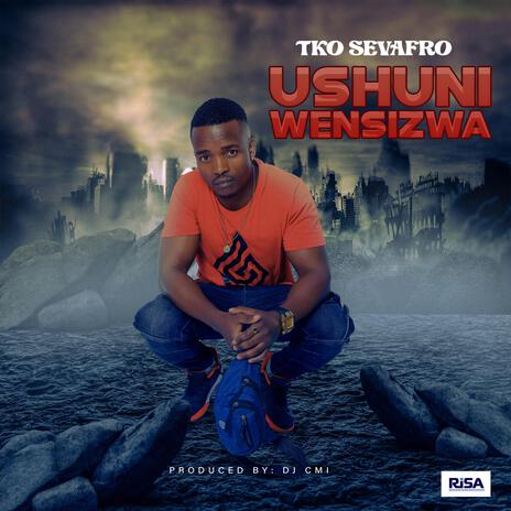 Ushuni Wensizwa | Boomplay Music