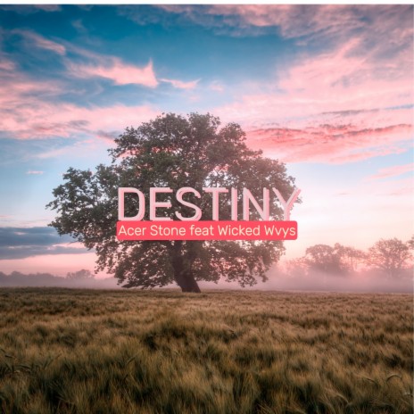 Destiny ft. Wicked Wvys | Boomplay Music