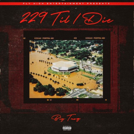 229 Till I Die | Boomplay Music