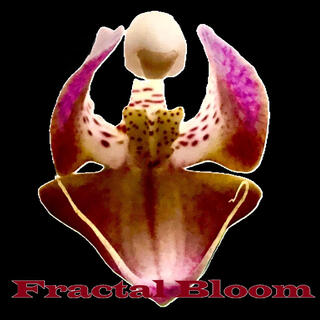 Fractal Bloom