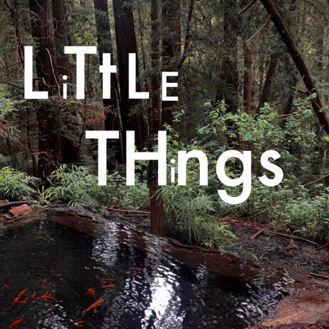 Little Things | Boomplay Music