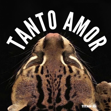 Tanto Amor | Boomplay Music