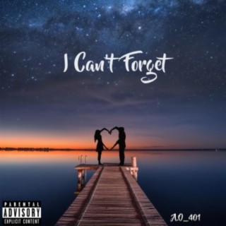 I Can't Forget lyrics | Boomplay Music