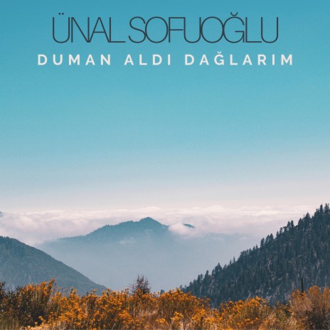 Duman Aldı Dağlarım | Boomplay Music