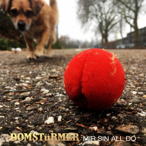 Mir sin all do | Boomplay Music