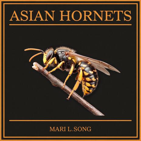 ASIAN HORNETS | Boomplay Music