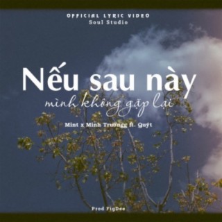 Neu sau nay minh khong gap lai ft. MTay & Quýt lyrics | Boomplay Music