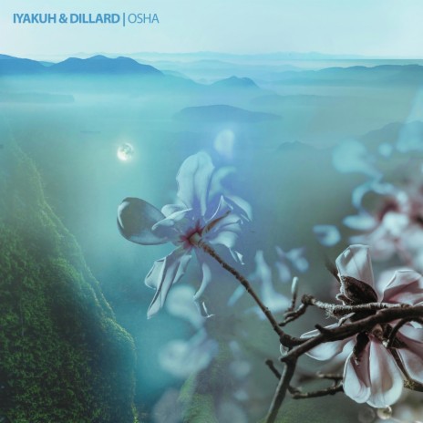 Osha ft. Dillard | Boomplay Music