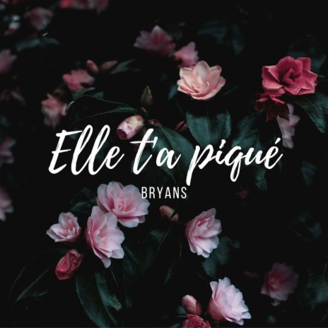 Elle t'a piqué | Boomplay Music