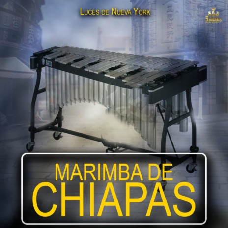 Esto Si Es Amor ft. Marimba De Chiapas | Boomplay Music