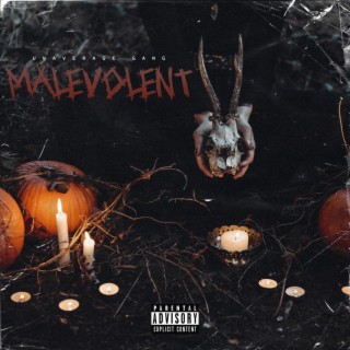 Malevolent lyrics | Boomplay Music