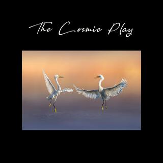 The Cosmic Play