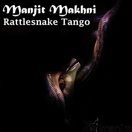 Rattlesnake Tango (Original mix) | Boomplay Music