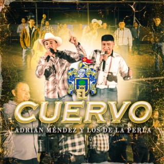 El Cuervo lyrics | Boomplay Music
