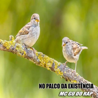 No palco da existência