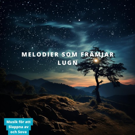 Meditation För Drömmar ft. Sleep Music & Sleep Sound Library