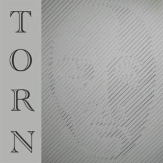 Torn (feat. Jamie Lee Sanchez)