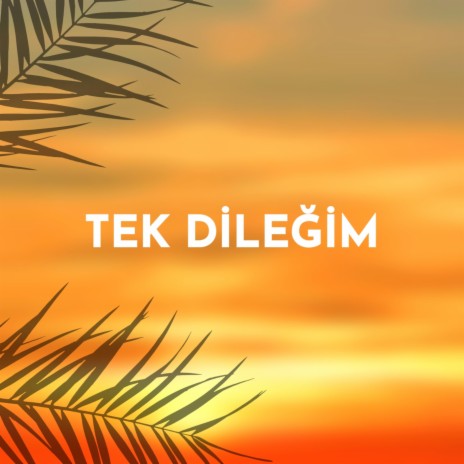 Tek dileğim | Boomplay Music