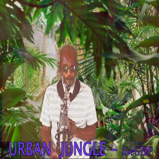 Urban Jungle