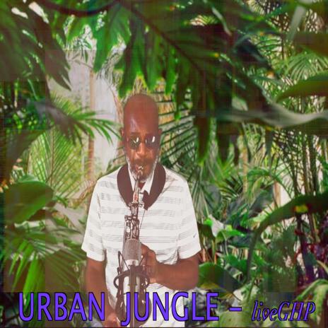 Urban Jungle | Boomplay Music