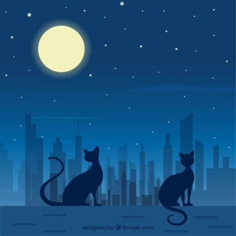 Blue Cats | Boomplay Music